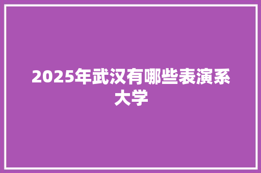 2025年武汉有哪些表演系大学 未命名