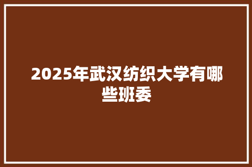 2025年武汉纺织大学有哪些班委 未命名