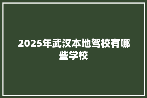 2025年武汉本地驾校有哪些学校 未命名