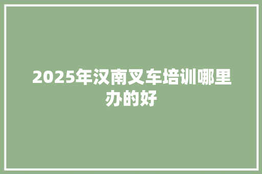 2025年汉南叉车培训哪里办的好