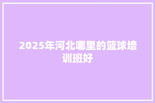 2025年河北哪里的篮球培训班好 未命名