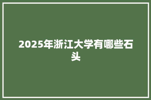 2025年浙江大学有哪些石头