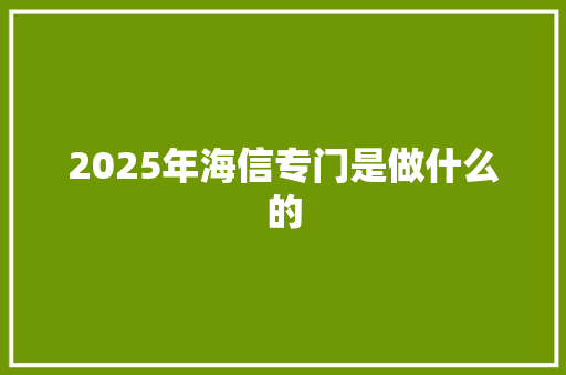 2025年海信专门是做什么的 未命名