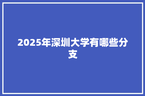 2025年深圳大学有哪些分支 未命名