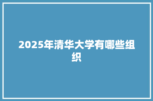 2025年清华大学有哪些组织