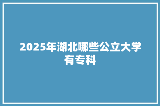 2025年湖北哪些公立大学有专科 未命名