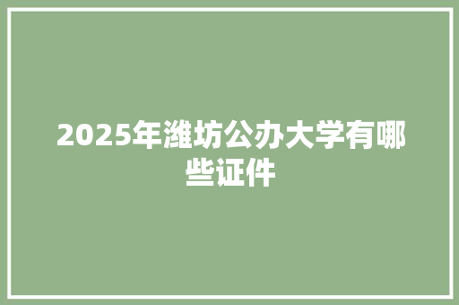 2025年潍坊公办大学有哪些证件