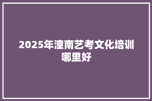 2025年潼南艺考文化培训哪里好