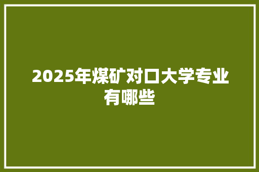 2025年煤矿对口大学专业有哪些