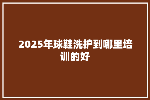 2025年球鞋洗护到哪里培训的好