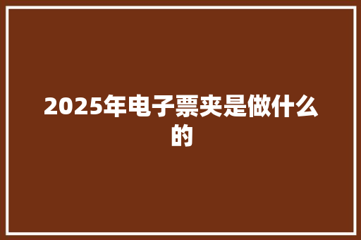 2025年电子票夹是做什么的 未命名