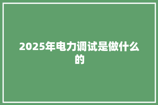 2025年电力调试是做什么的 未命名