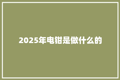 2025年电钳是做什么的 未命名