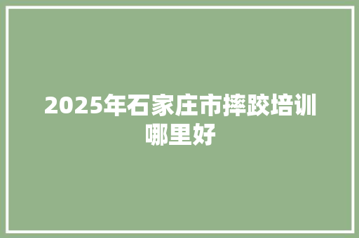 2025年石家庄市摔跤培训哪里好