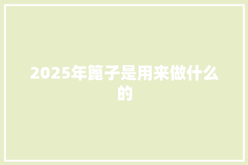 2025年篦子是用来做什么的