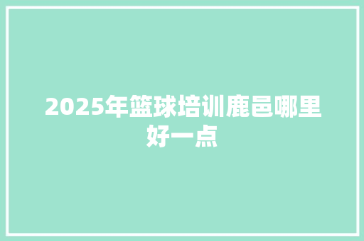 2025年篮球培训鹿邑哪里好一点 未命名