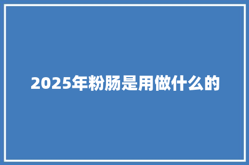 2025年粉肠是用做什么的