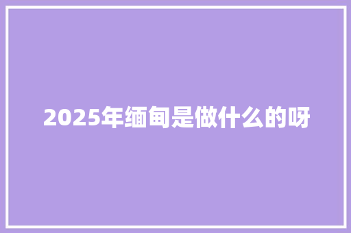 2025年缅甸是做什么的呀