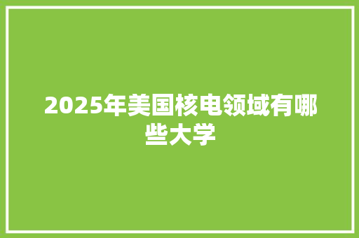 2025年美国核电领域有哪些大学