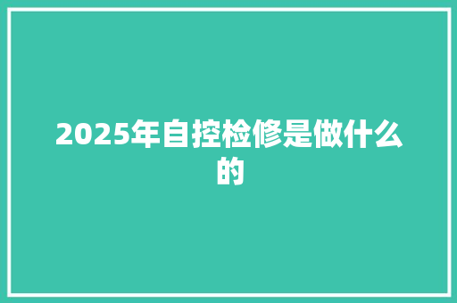 2025年自控检修是做什么的 未命名