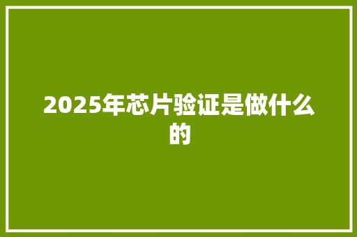 2025年芯片验证是做什么的