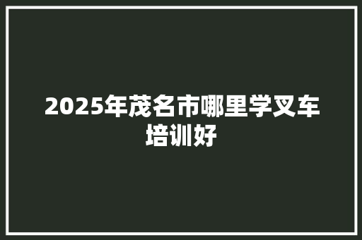 2025年茂名市哪里学叉车培训好