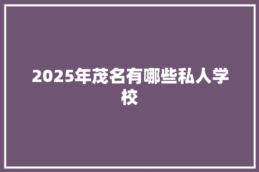 2025年茂名有哪些私人学校