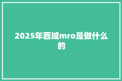 2025年西域mro是做什么的 未命名