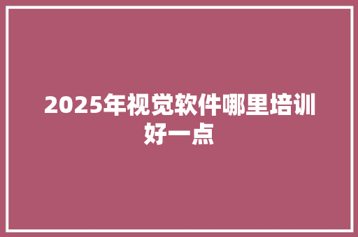 2025年视觉软件哪里培训好一点 未命名