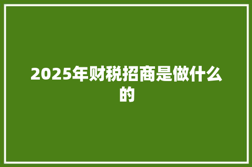 2025年财税招商是做什么的