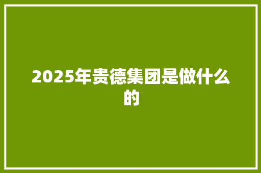 2025年贵德集团是做什么的