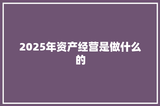 2025年资产经营是做什么的