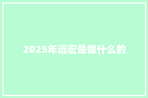 2025年远宏是做什么的 未命名