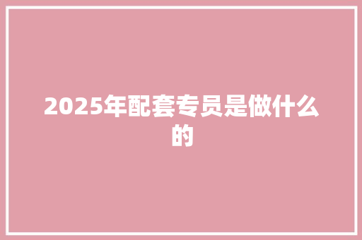 2025年配套专员是做什么的