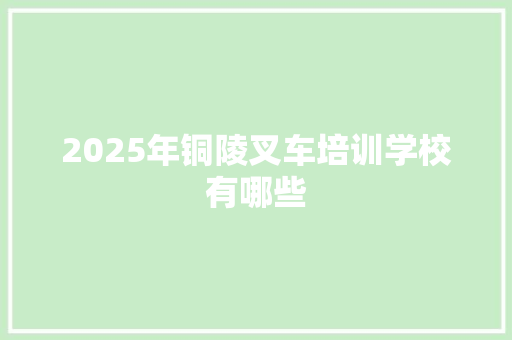 2025年铜陵叉车培训学校有哪些