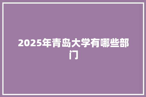 2025年青岛大学有哪些部门