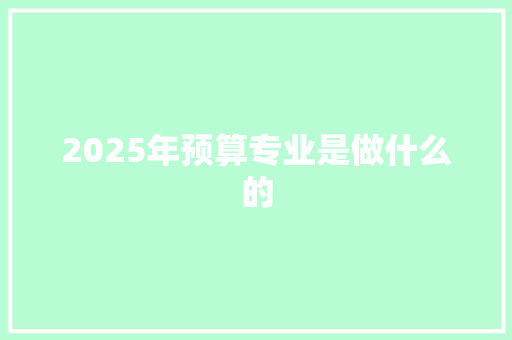 2025年预算专业是做什么的 未命名