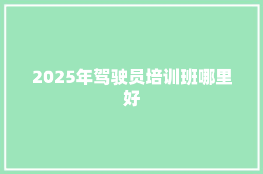 2025年驾驶员培训班哪里好 未命名