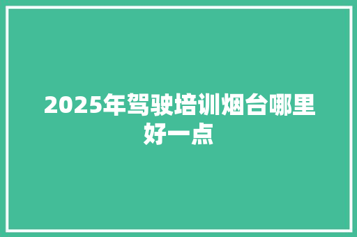 2025年驾驶培训烟台哪里好一点 未命名