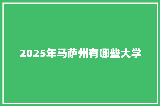 2025年马萨州有哪些大学