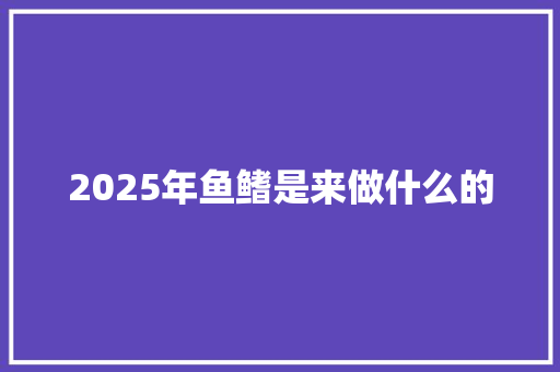 2025年鱼鳍是来做什么的