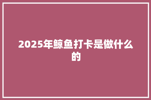 2025年鲸鱼打卡是做什么的 未命名