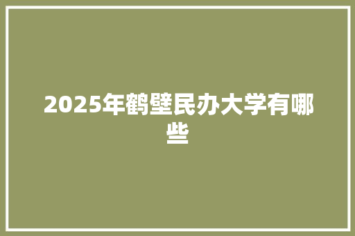 2025年鹤壁民办大学有哪些