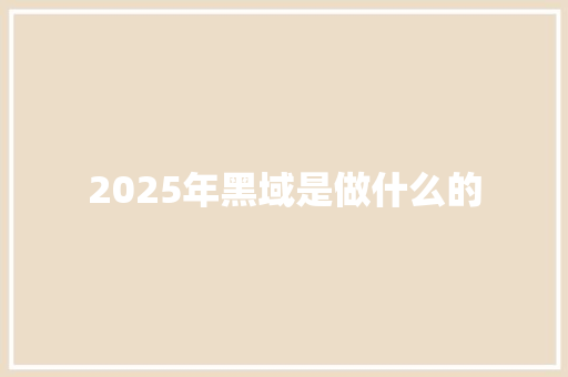 2025年黑域是做什么的