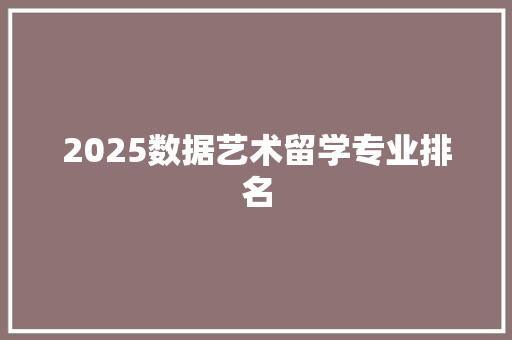 2025数据艺术留学专业排名 未命名