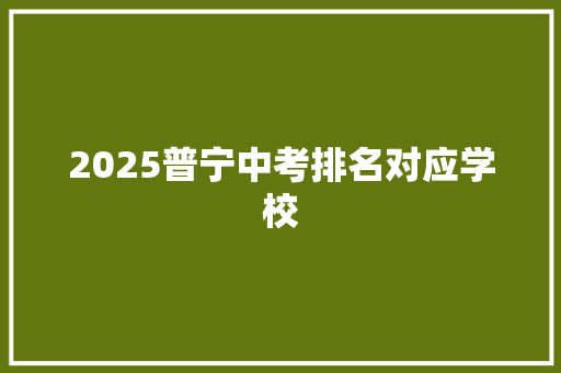 2025普宁中考排名对应学校