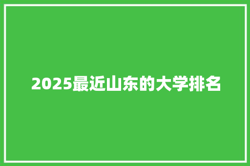 2025最近山东的大学排名 未命名