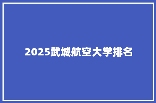 2025武城航空大学排名