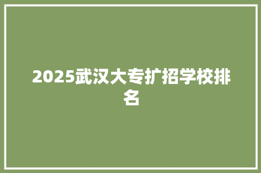 2025武汉大专扩招学校排名 未命名