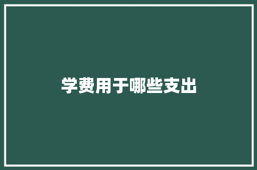 学费用于哪些支出